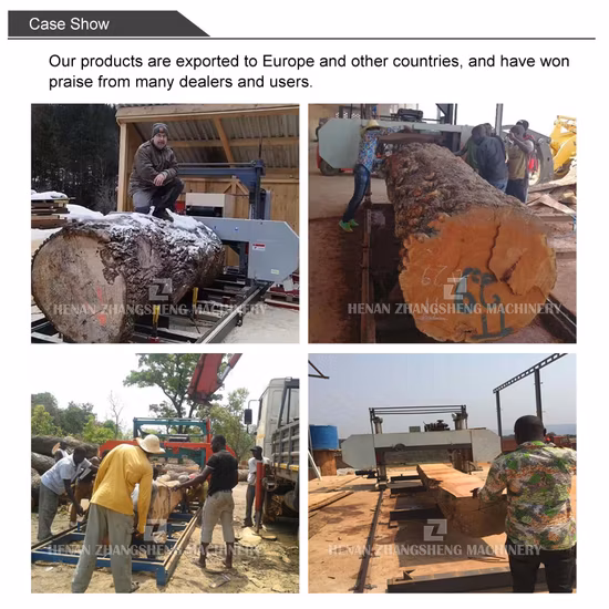 새로운 디자인 수평 목공 띠톱 휴대용 전기톱 밀